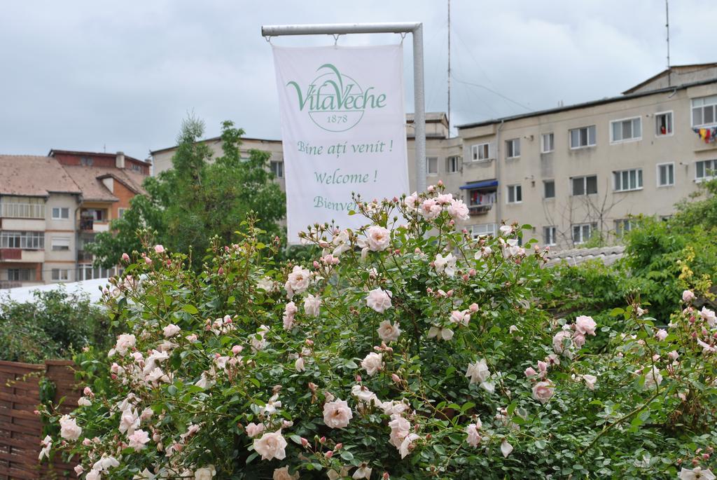 Vila Veche Haţeg المظهر الخارجي الصورة